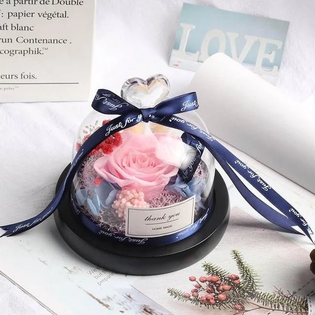 Eternal LED Rose in Glass – Gift & Decor | VISM Australia Family Store
