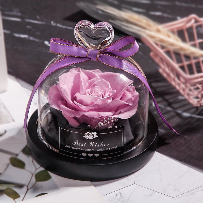 Eternal LED Rose in Glass – Gift & Decor | VISM Australia Family Store