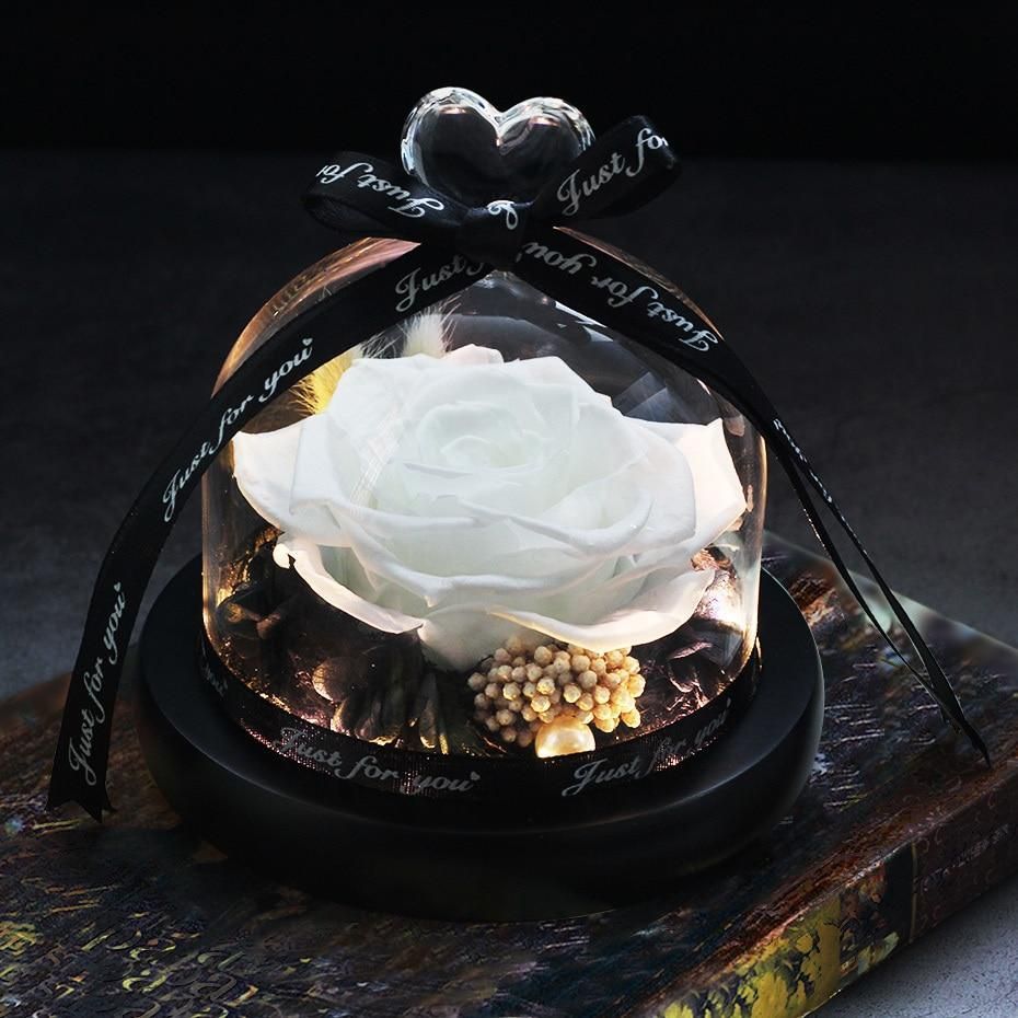 Eternal LED Rose in Glass – Gift & Decor | VISM Australia Family Store