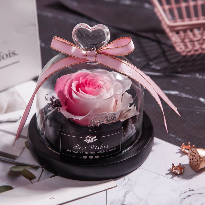 Eternal LED Rose in Glass – Gift & Decor | VISM Australia Family Store
