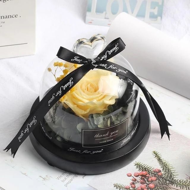Eternal LED Rose in Glass – Gift & Decor | VISM Australia Family Store