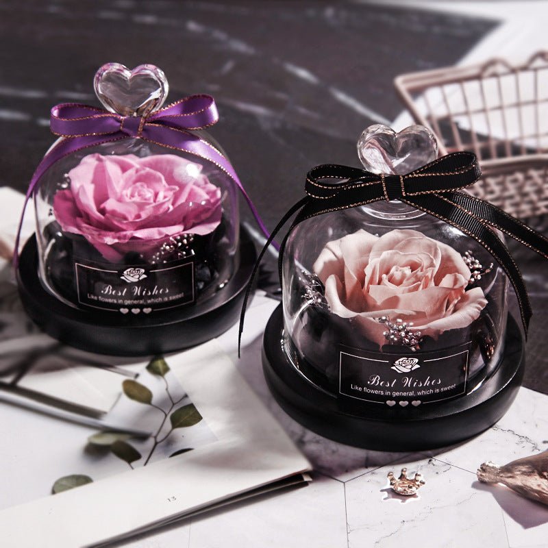 Eternal LED Rose in Glass – Gift & Decor | VISM Australia Family Store