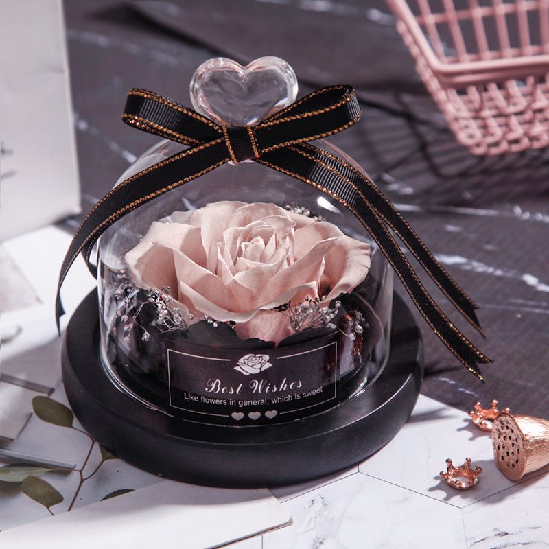 Eternal LED Rose in Glass – Gift & Decor | VISM Australia Family Store