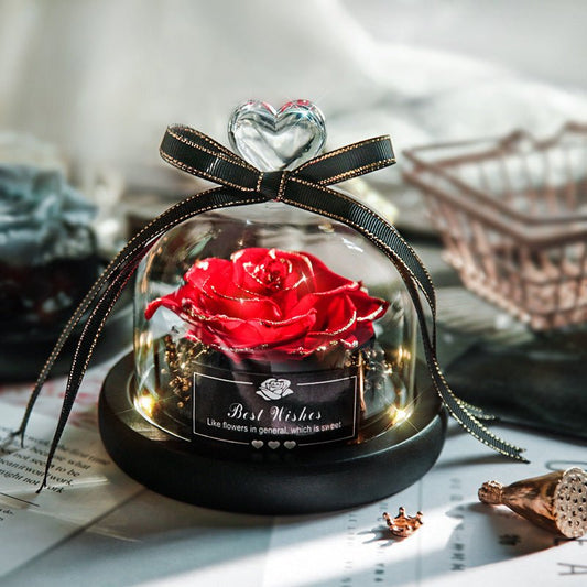 Eternal LED Rose in Glass – Gift & Decor | VISM Australia Family Store