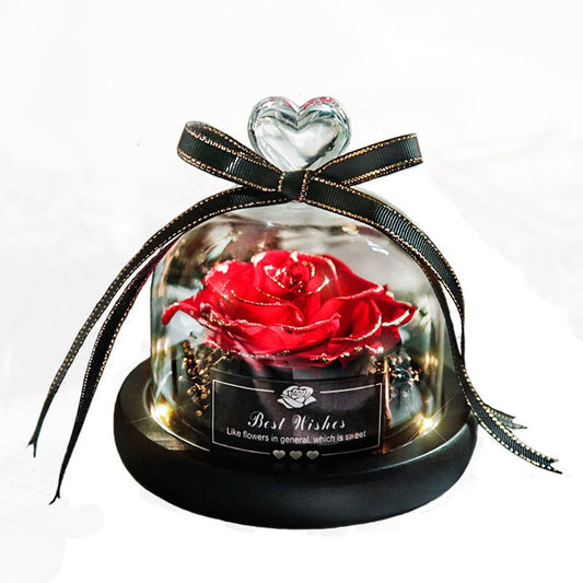 Eternal LED Rose in Glass – Gift & Decor | VISM Australia Family Store